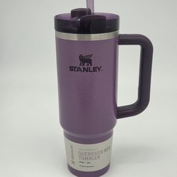 Stanley Cup Quencher H2O Flowstate HAMMERTONE LILAC Tumbler 30oz