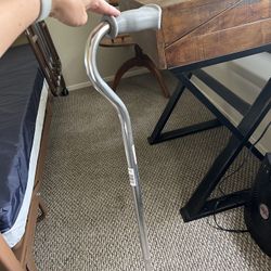 Guardian Single Point Handle Cane Walking Stick
