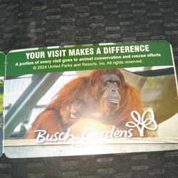 Busch Gardens 4 Tickets 