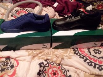 Brand new pumas