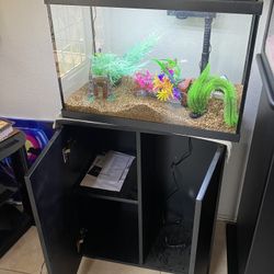20 Gallon Fish Tank and Stand