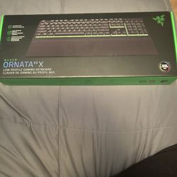 Razer Ornata V3 X
