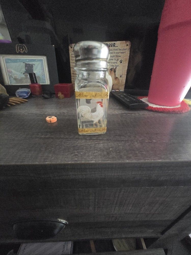 Chicken Salt Shaker