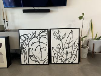 Monstera Paintings