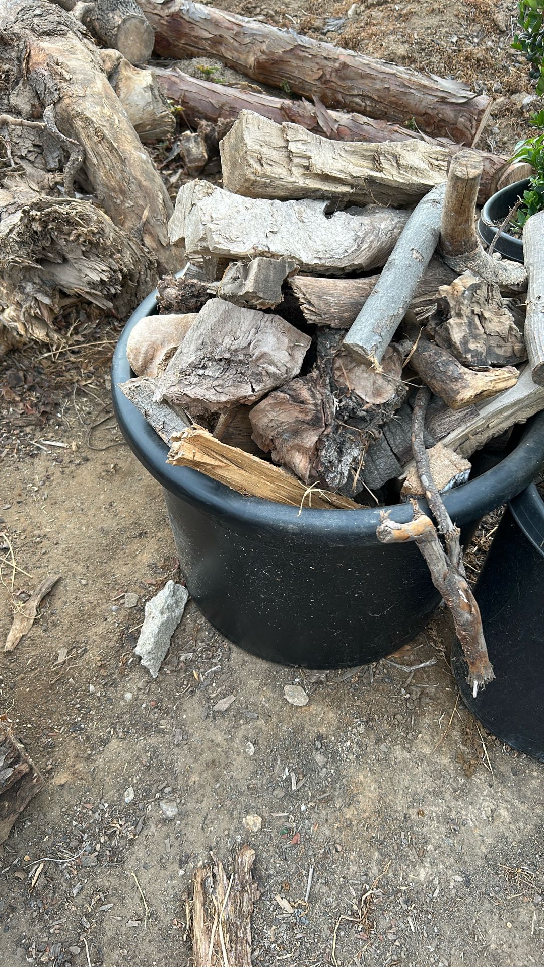 Firewood