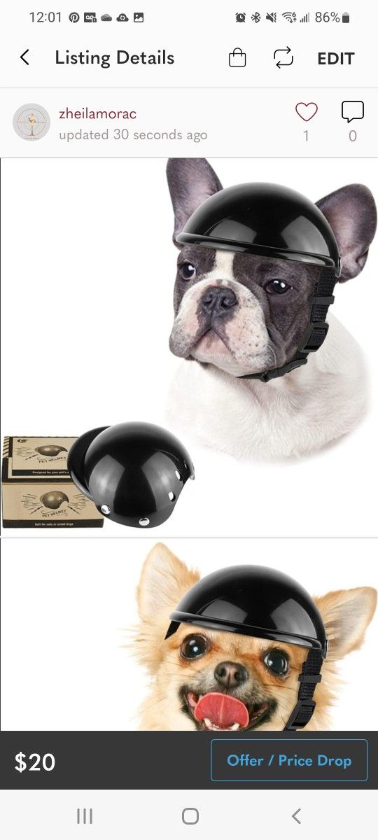 Helmet For Dog Or Cat New