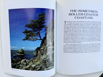 Beautiful Oregon Coast by Paul M. Lewis