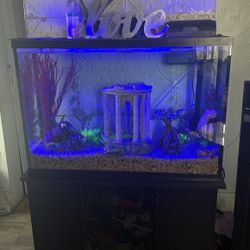 Fish Tank With Stand From Petsmart 