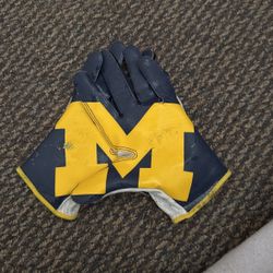 Michigan Football Gloves 