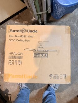 Ceiling Fan With A Light