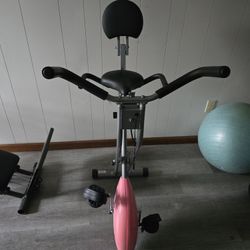 Sunny Exercise Bike
