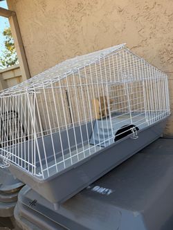Critter cage