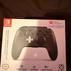 Nintendo Switch Controller