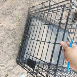 Dog Cage 