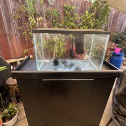 Fish Tank Set-Up 
