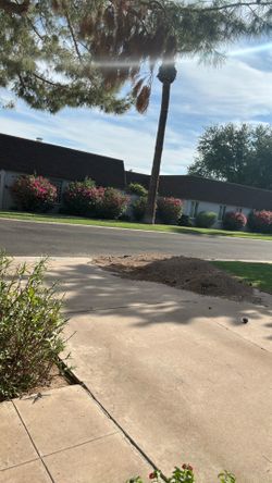 Free pebbles/ pea gravel