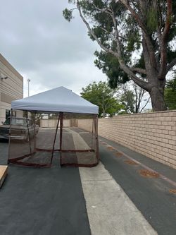 10x10 mosquito netting for 10x10 canopy