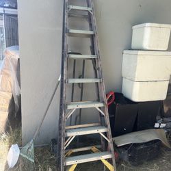 Ladder 