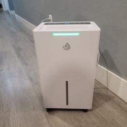 Home Dehumidifier