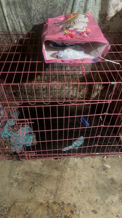 Pink Dog Cage