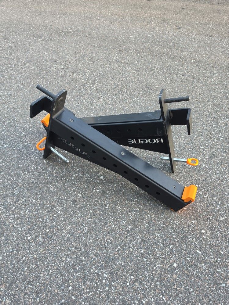 Weight Rogue Spotter Arms