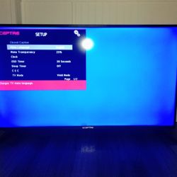 Sceptre 40" TV