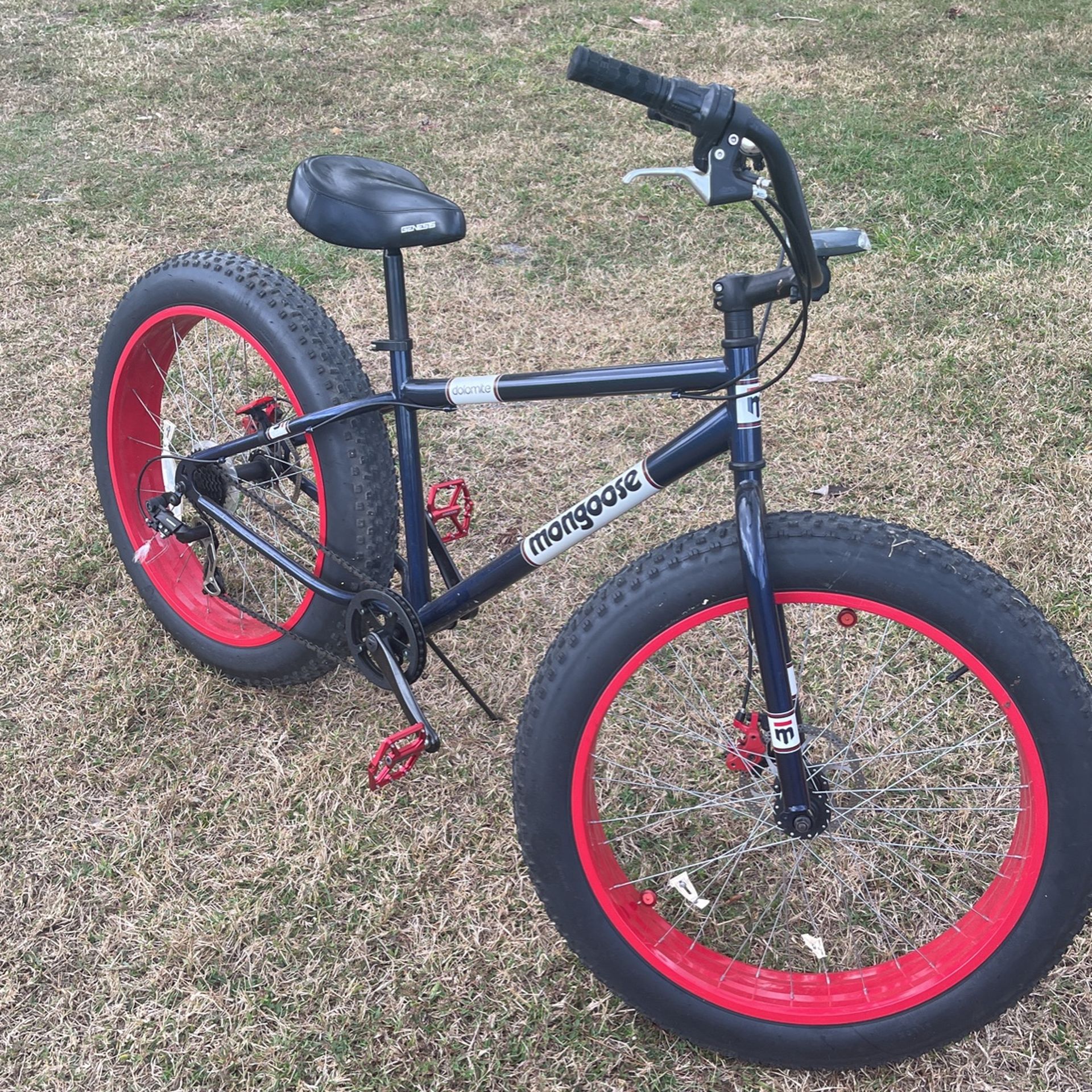 Mongoose Big Wheel Bike