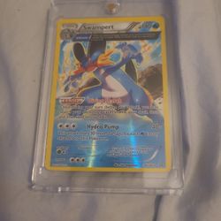 Swampert 36/160