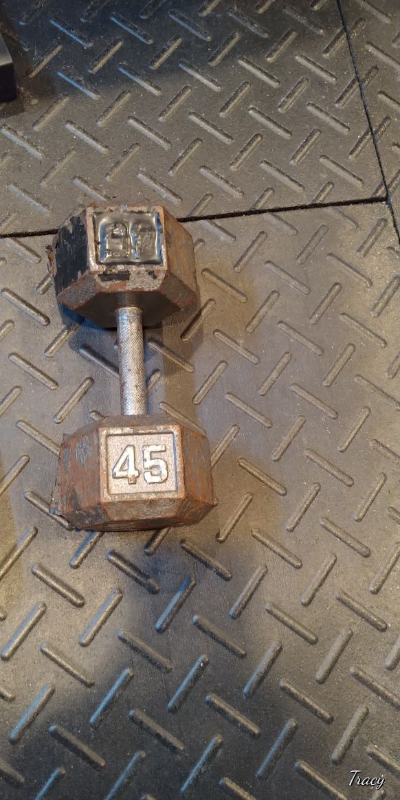 *This is pending a sale.* Single 45 lb Dumbbell