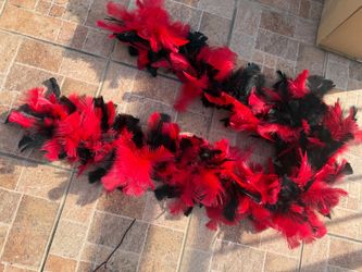 Red and Black Feather Boa