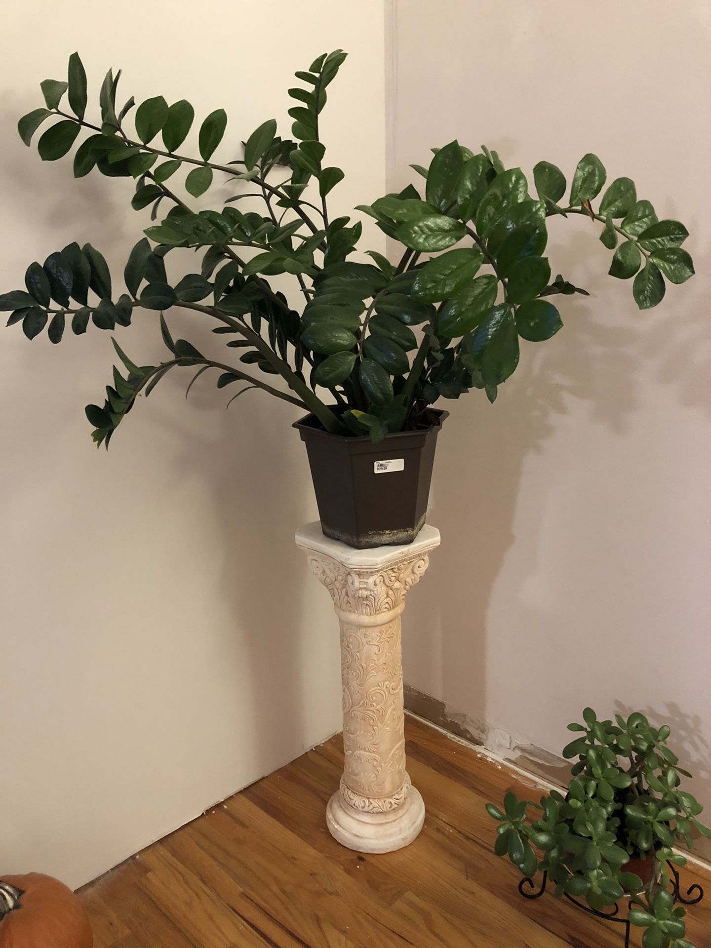 Ceramic pedestal plant stand