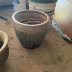 Plant Pot
