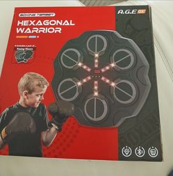 Hexagon Worrior Boxing Pad
