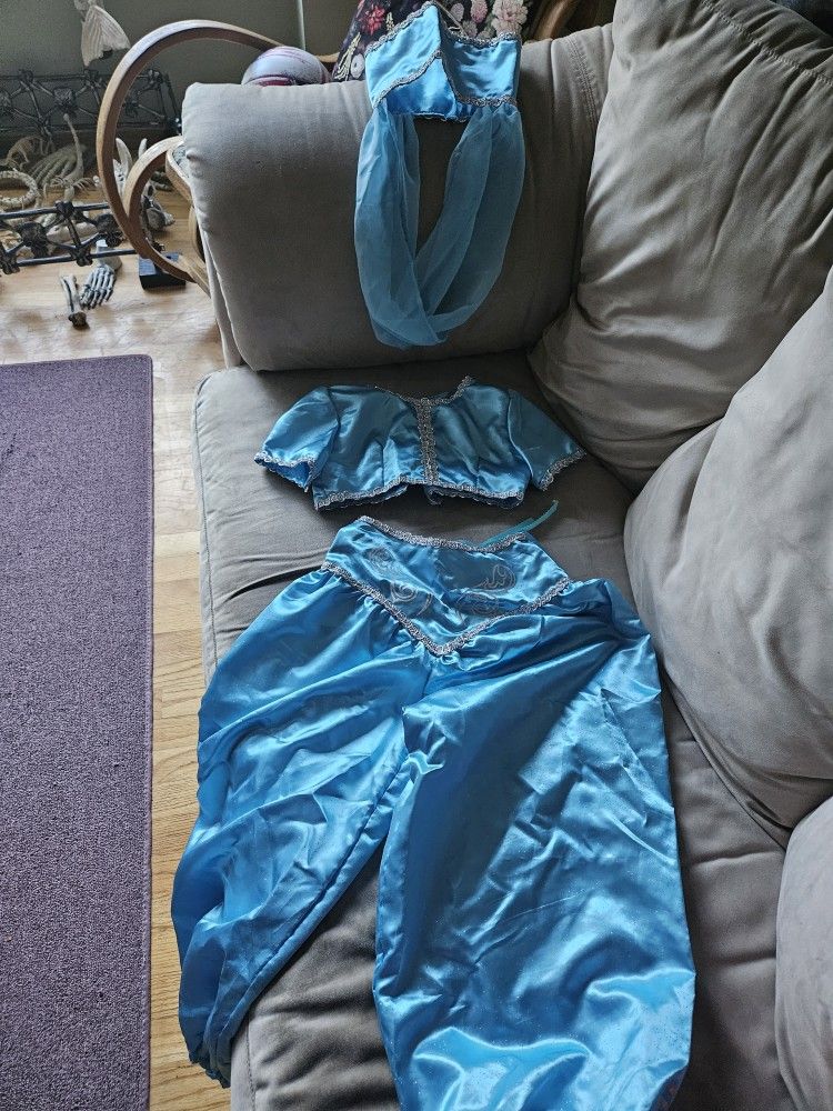 Princess Jasmine Costtume Sz 7/8 Kids