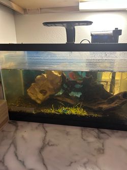 Fish Tank Aquarium with Light and Filter