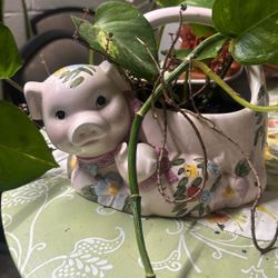 Ceramic Cute Pig Planter With Pothos Plant 