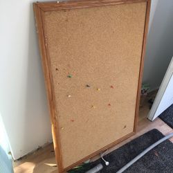 2 By  3 Cork Board 