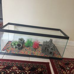 Fish Tank And Decoration Is Include 