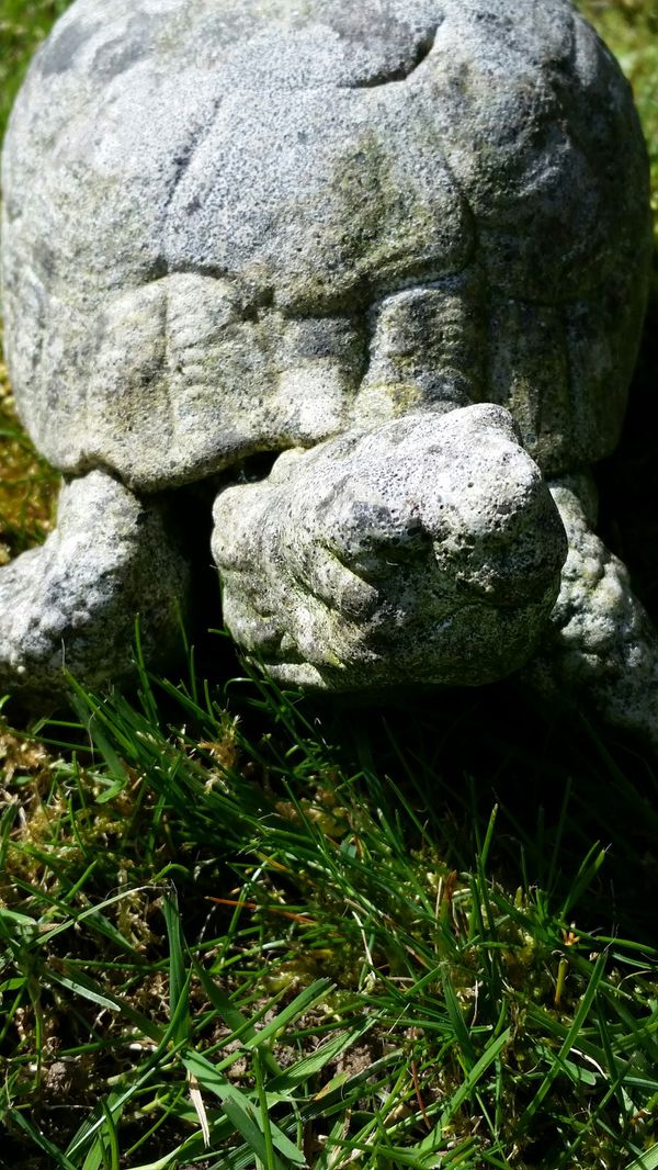 Cement Turtle Yard Art for Sale in Bellevue, WA - OfferUp