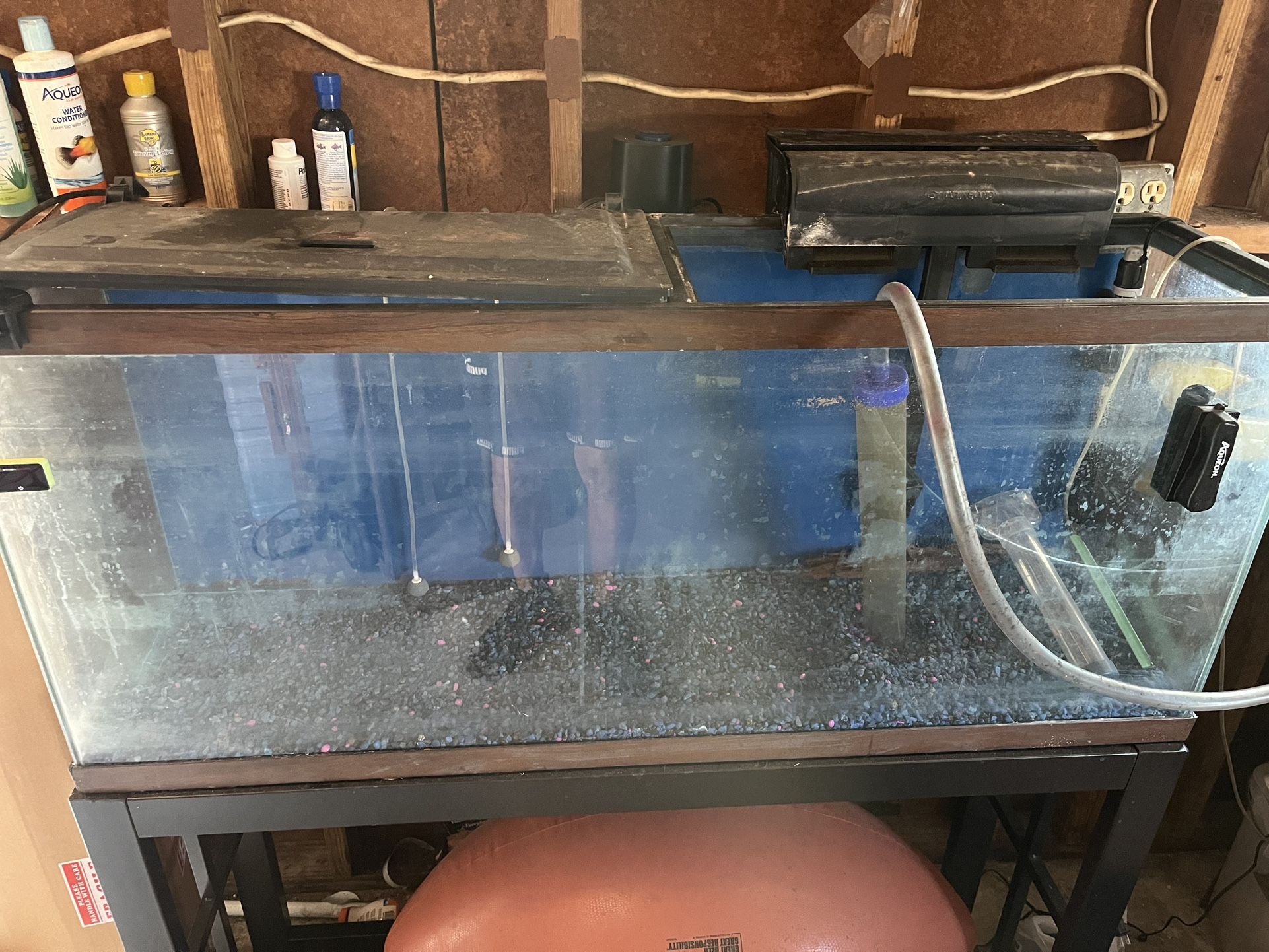 55 gallon aquarium with stand and filter