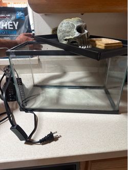 Reptile tank with light