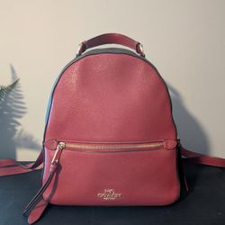 Coach Small Backpack 