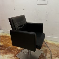 Salon Chair 