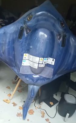 Large Stingray Float 
