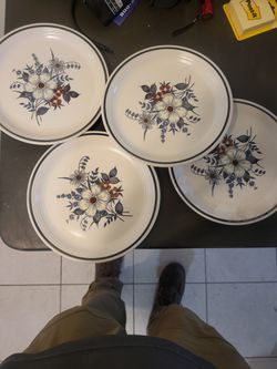 Set of 4 Floral Ceramic Dinner Plates