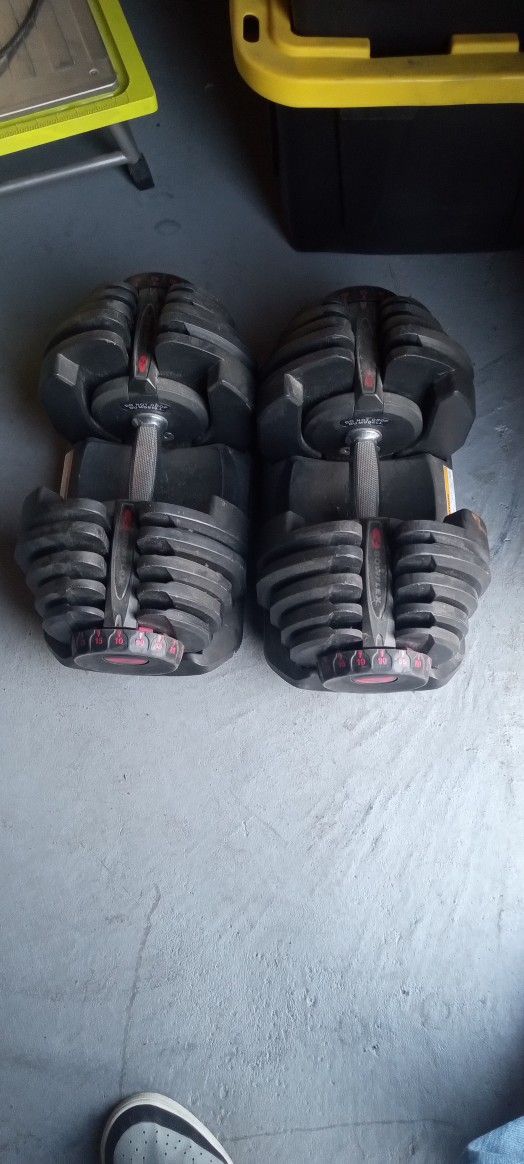 Bowflex 10-90 Pound Weights