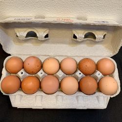 $5 Farm Fresh Free Range Eggs