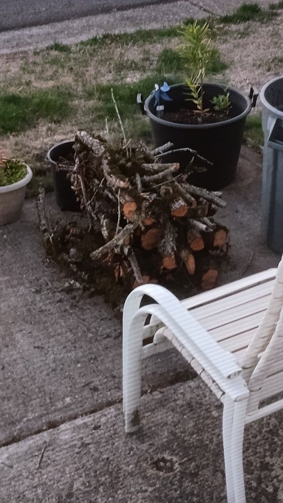 Free Wood