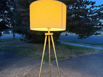 Brushed Brass Tripod Floor Lamp with Drum Shade