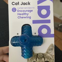 Kitten Teething Toy 